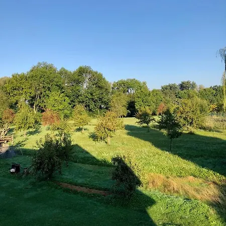 Ferien-apartment Eisvogel - Mit Priv Strandzugang Lejlighed Friedrichshafen