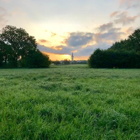 Ferien-apartment Eisvogel - Mit Priv Strandzugang Apartment Friedrichshafen