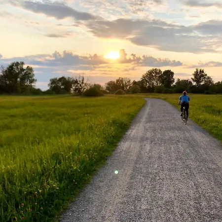 Ferien-apartment Eisvogel - Mit Priv Strandzugang Apartment Friedrichshafen
