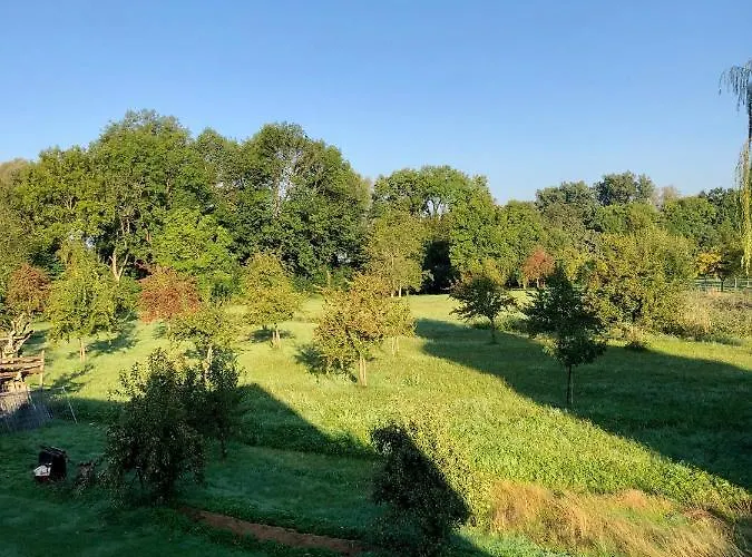 Ferien-apartment Eisvogel - Mit Priv Strandzugang Lejlighed Friedrichshafen