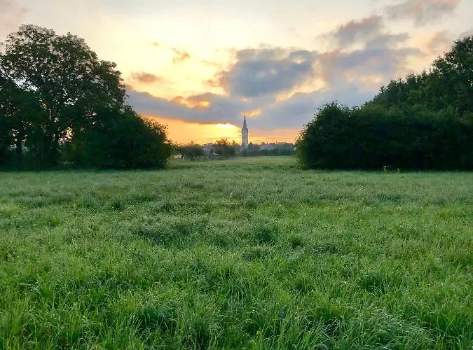 Ferien-apartment Eisvogel - Mit Priv Strandzugang Lejlighed Friedrichshafen