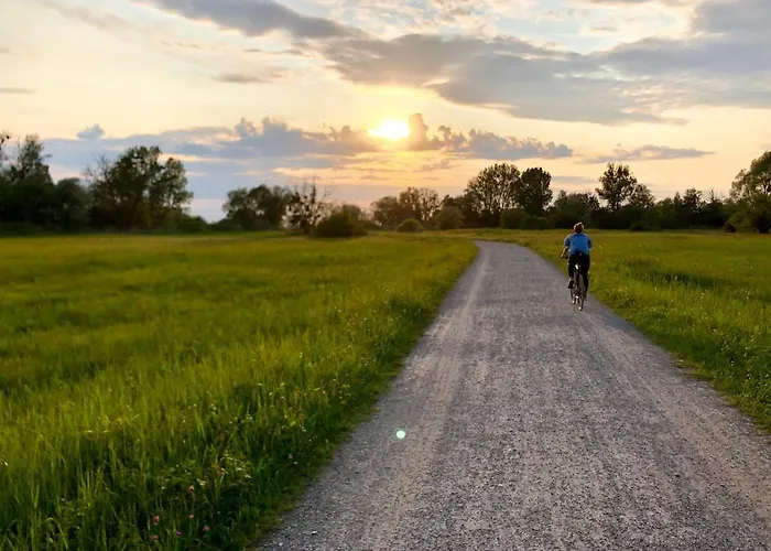 Ferien-apartment Eisvogel - Mit Priv Strandzugang Lejlighed Friedrichshafen